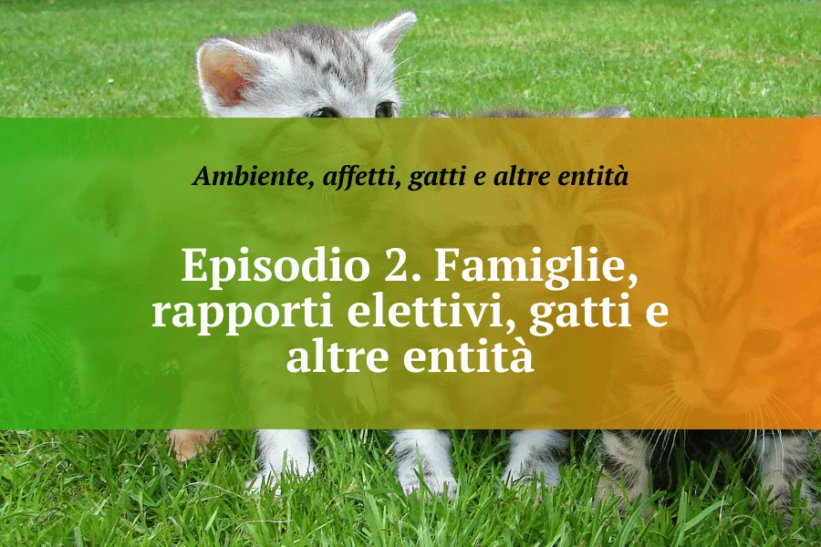 Ambiente, affetti, gatti e altre entità – CNOAS. Episodio 2 – Famiglie, rapporti elettivi, gatti e altre entità